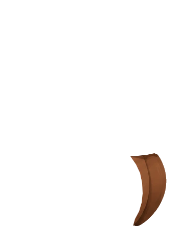 Nomi's right wing layer